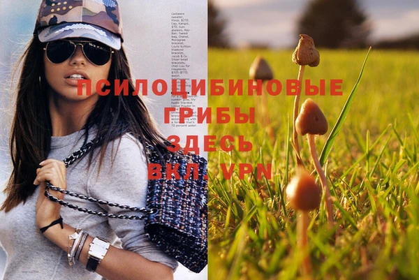 метадон Армянск