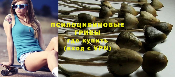 метадон Армянск