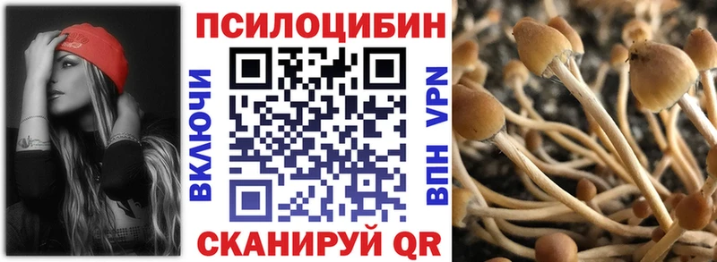 Псилоцибиновые грибы Magic Shrooms  купить закладку  сайты даркнета наркотические препараты  Байкальск 